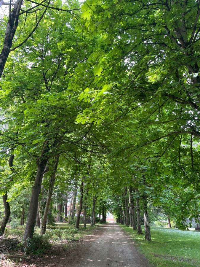 Domaine La Belle Histoire - Gite Cote Parc Besset Dış mekan fotoğraf